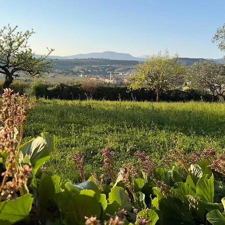 Relais Amarone Villa